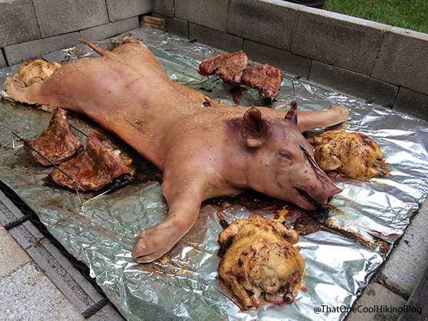 Pig Roast--Getting Closer