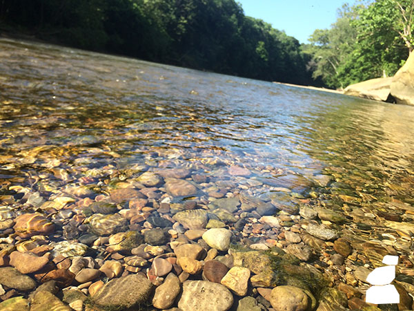 Turkey Run State Park, Sugar Creek