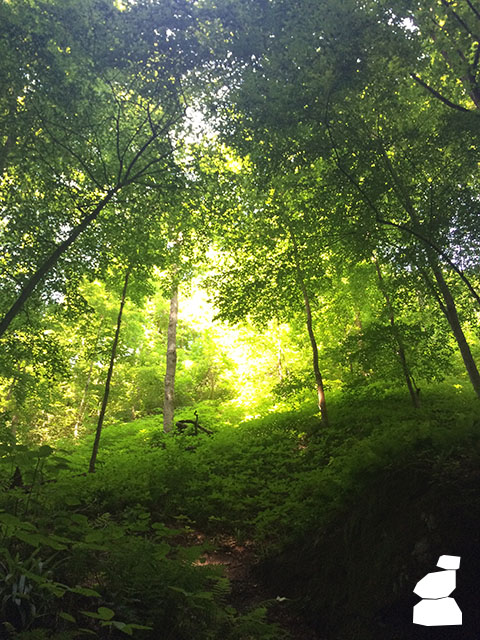 Turkey Run State Park, Green Hillside