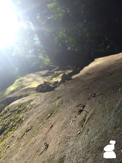 Turkey Run State Park, Rock