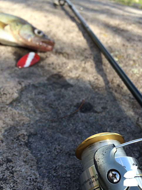 Walleye and Fishing Pole