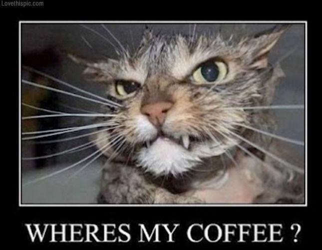 Where's My Coffee?