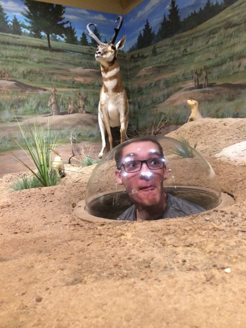 Prairie Dog in Bryce Canyon