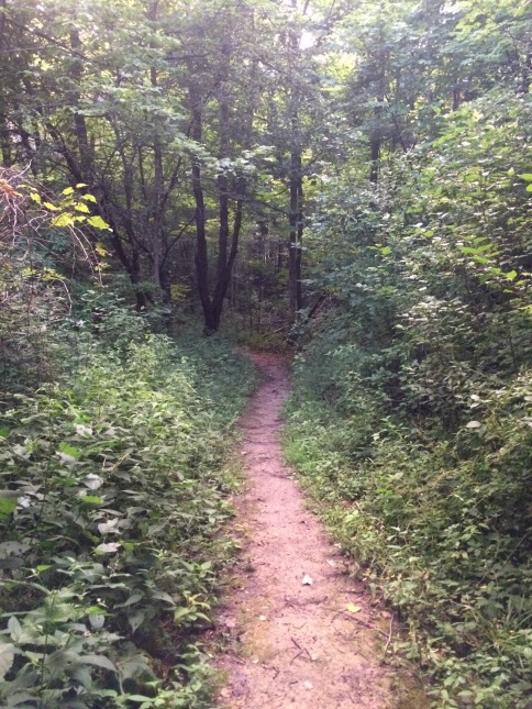 Running down a trail