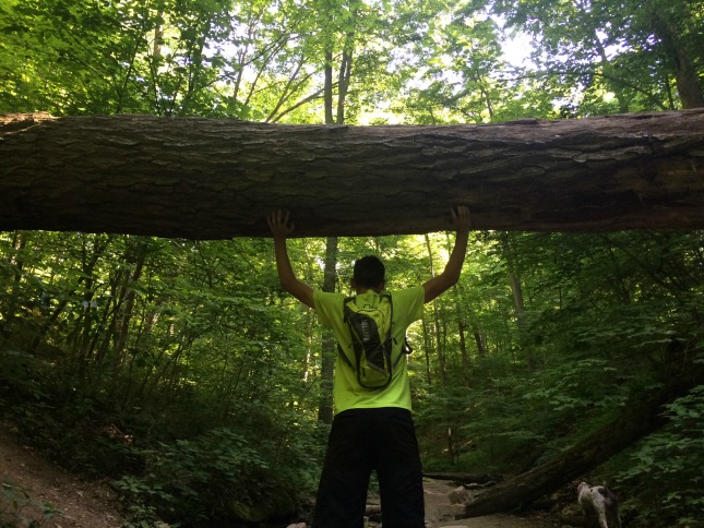 Gavin Holding up a Tree