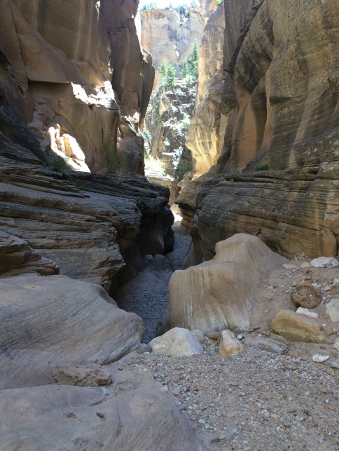 Slot Canyon in Bull Valley Gorge