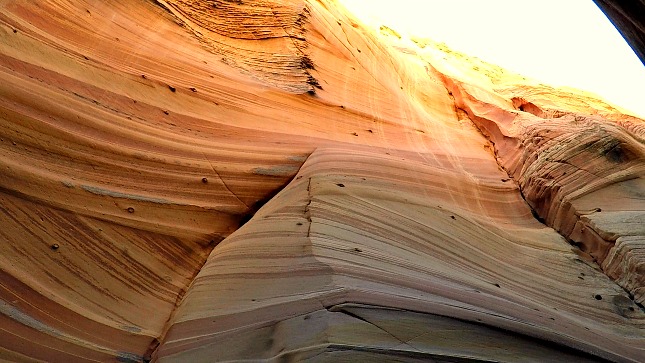 Moqui Marbles Sticking out of Sandstone