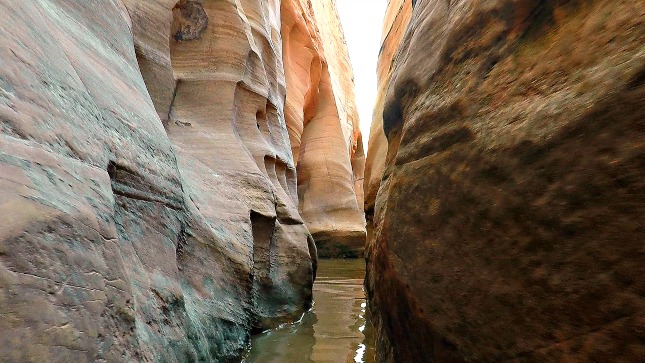 Water in Zebra Canyon