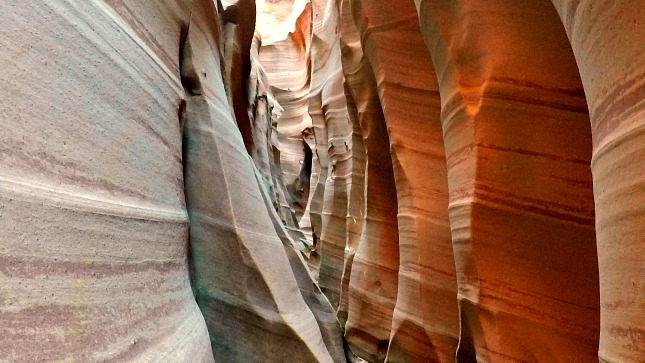 Zebra Canyon Rock Curvature