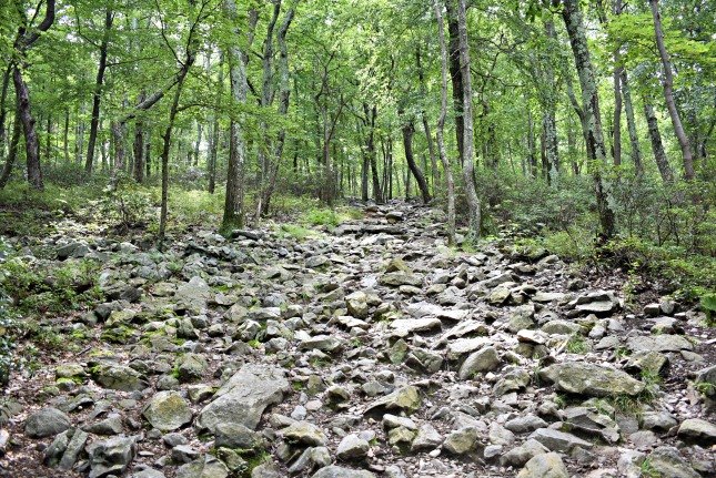 Rocky Trail