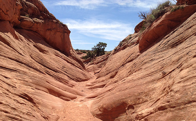 Peekaboo Canyon, Escalante National Monument