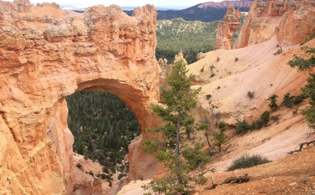 Natural Bridge in Bryce Canyon